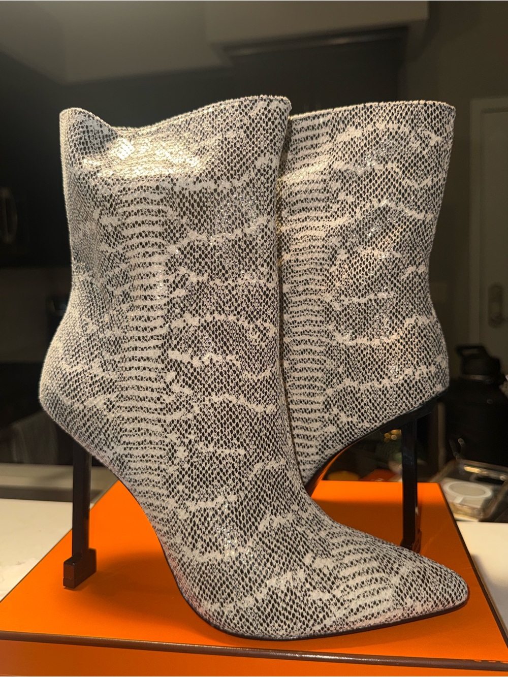 Jessica Rich Snake-Print Pointed-Toe Ankle Booties in Black & cream